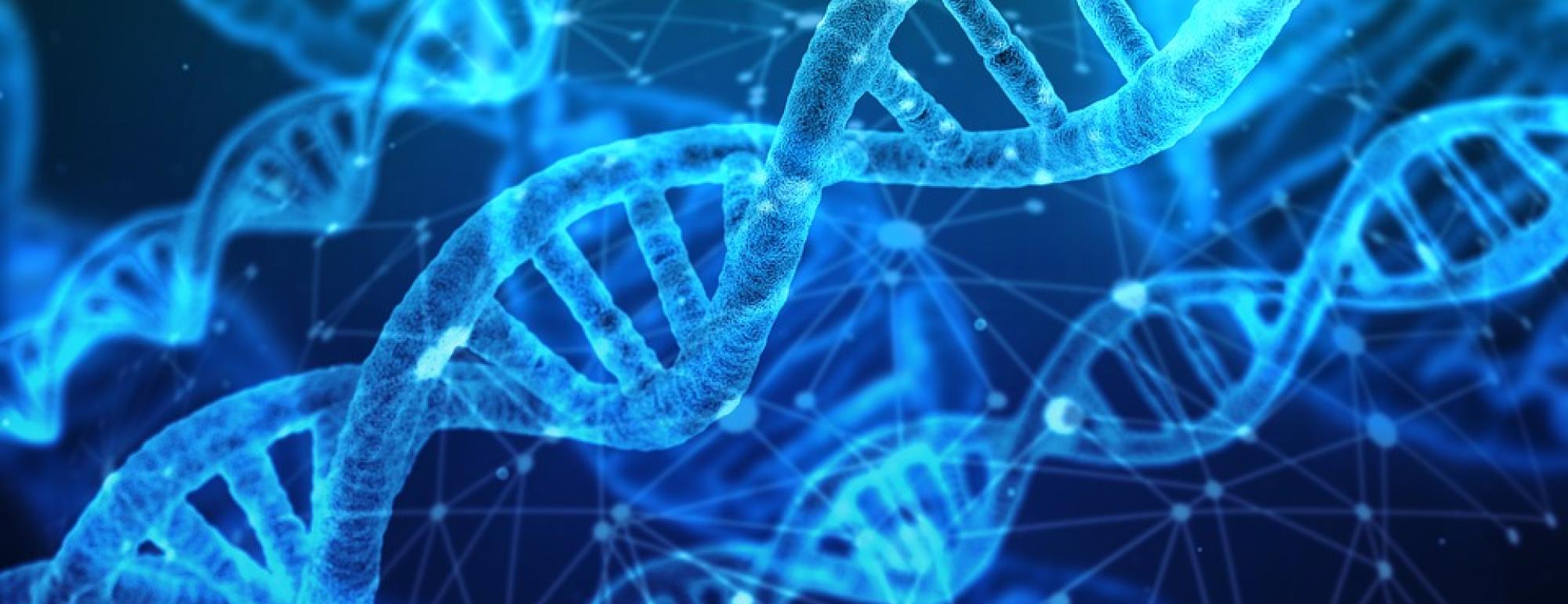 bluehelix